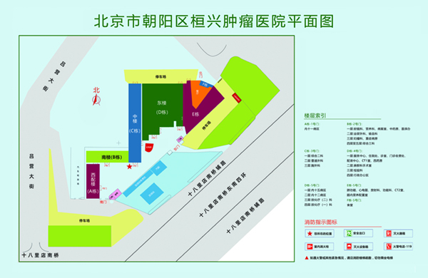 插入式黄片女喷水奶北京市朝阳区桓兴肿瘤医院平面图